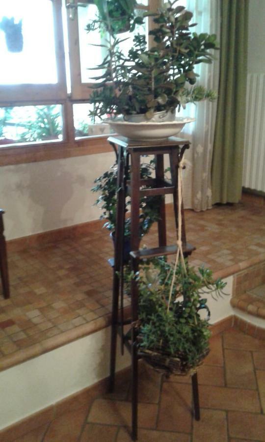 Da Giovanni E Marcella Certaldo Buitenkant foto